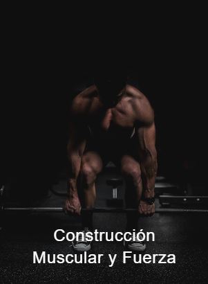 101 codigo descuento estudiante